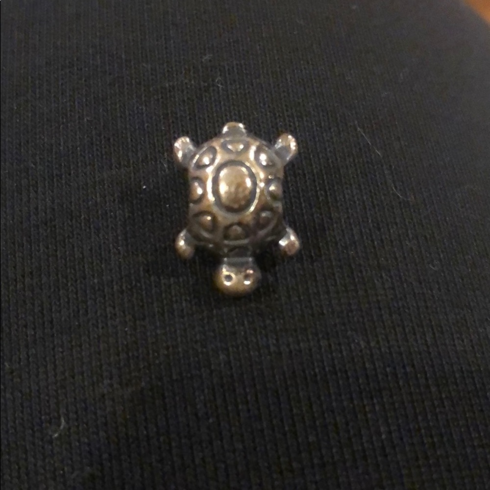 Turtle Pandora Charm
